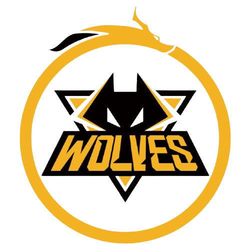 阵容深度不 阵容深度不